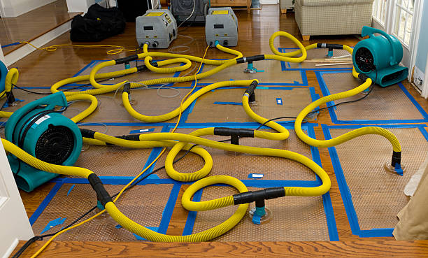 Professional Crawl Space Water Removal technician working in Patrick AFB, FL